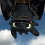 Poguro avatar