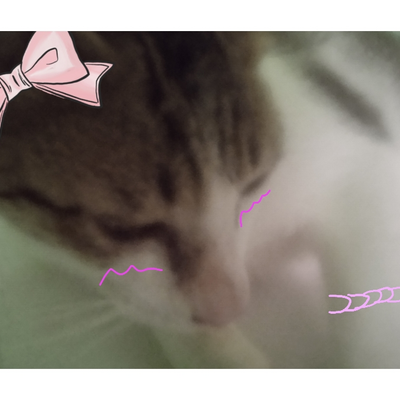 @-_kitty-pie_-