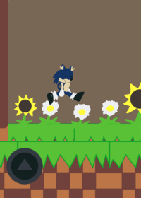 Sonic Sonicsprites game