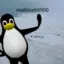 flobker_ avatar