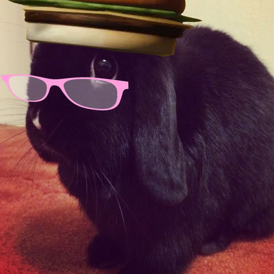 @007n7_Bunbun