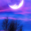 Aegean avatar