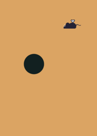 Black hole testing