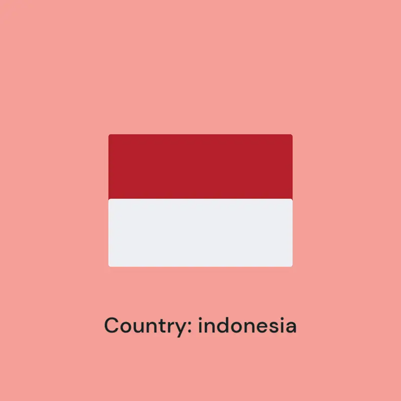 Game by @Indonesia_countryballs