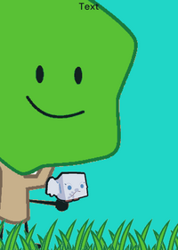 ONE LITTLE PIGEON SITTING IN A TREE