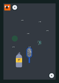 Kill the flies