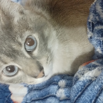 @Mively_Twice