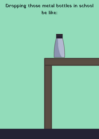 Metal bottles