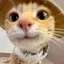 clip_studio_2 avatar
