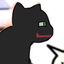 N4S avatar