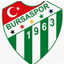 Bursaspor1234 avatar