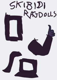 My skibidi ragdolls