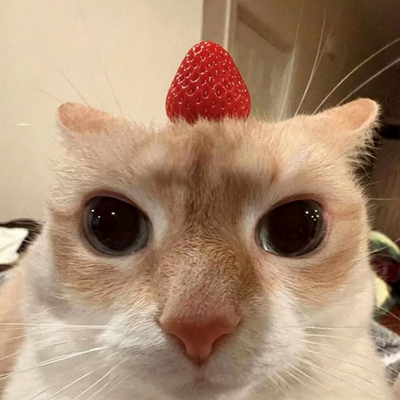 @meowpy