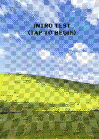 Intro test