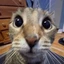 kawaiiforlife avatar