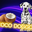 cocodoggo avatar