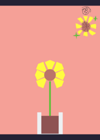 Sunflower ragdoll!