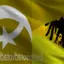 Surrvam avatar