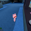 tinyanomaly avatar