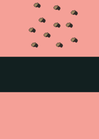 Solarballs