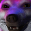 The_AMK_OFICCIAL avatar