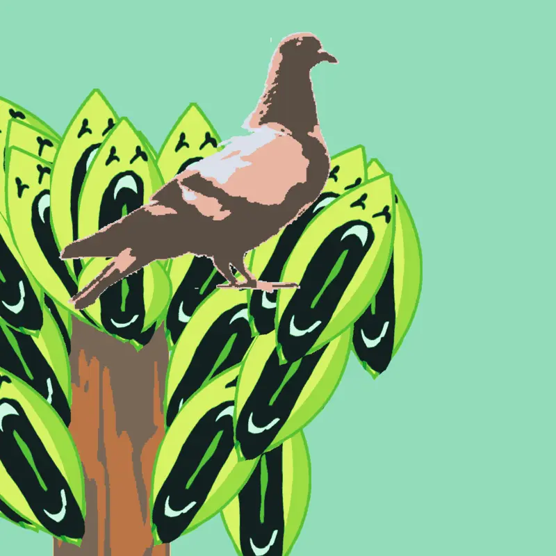 One little pidgeon sitting in a tree by @Arda7