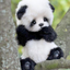 panda1z avatar