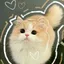 Anita_Cat avatar