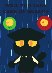 Blacky cat