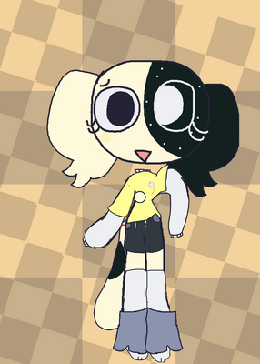 snapshot