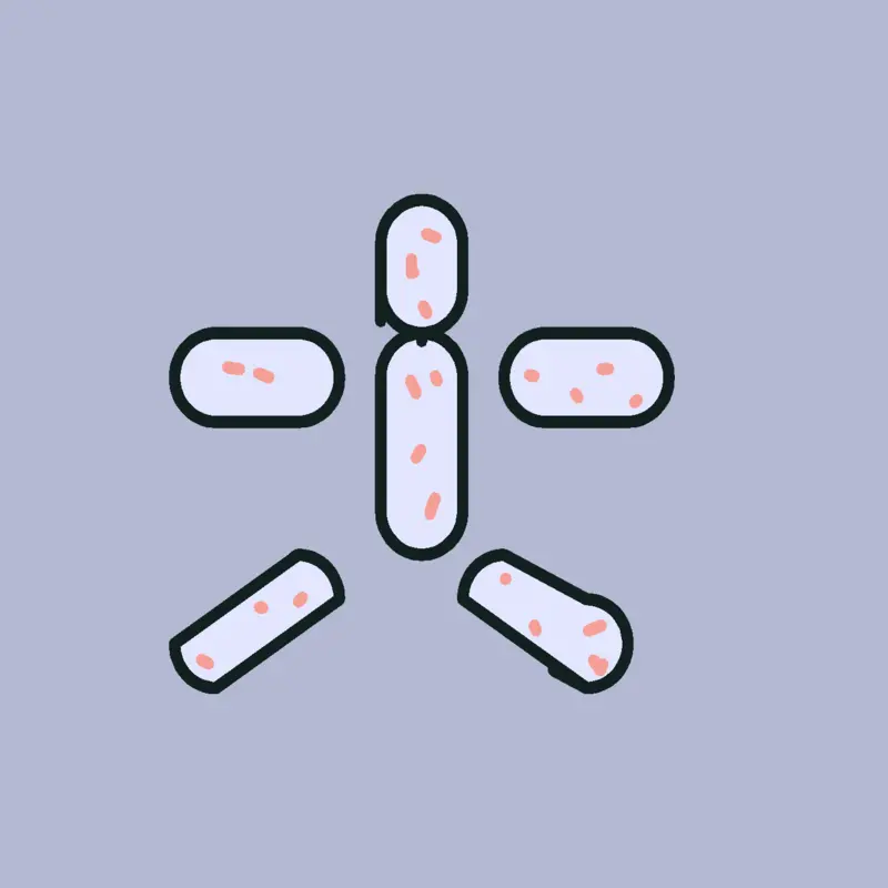 Game by @myroom