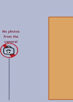 snapshot