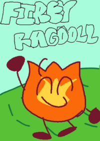 Firey ragdoll