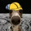 MoonVeshremy avatar