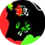 Fernandokg avatar