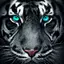 DarkTiger avatar