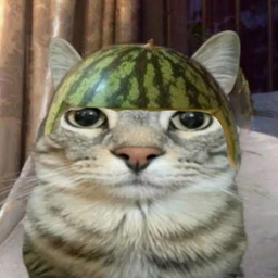 @thatcatbrotha