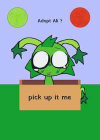 adopt Ali!