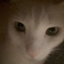 WyattShroom avatar