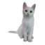 elgatito15 avatar