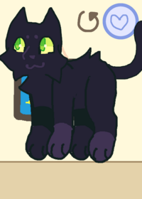 Ragdoll