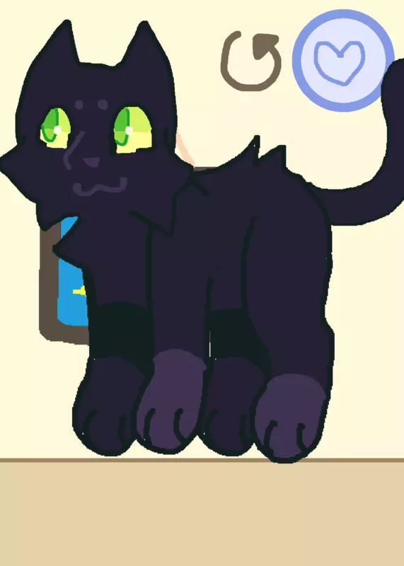 Ragdoll by @Hawaiian-cat