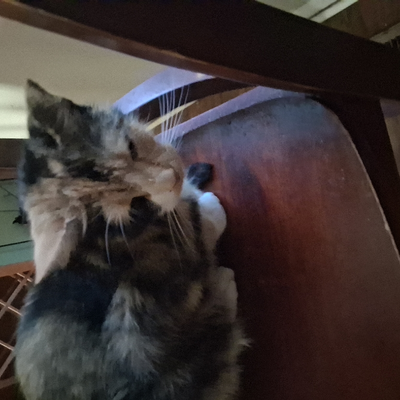 @nukii5_