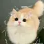 fatiah avatar