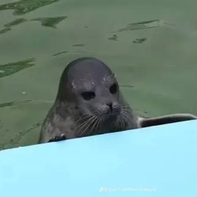 @Mely_263