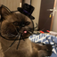 chazu avatar
