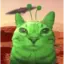 -Alex_Cat- avatar