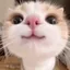 mayyyyzzssg avatar
