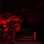 your_local_EXPUNGED avatar