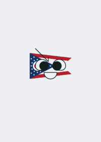 Ohio Flag Band US State (meme)